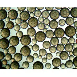 1655326382011 Puroliteweb 1655326382011 Puroliteweb