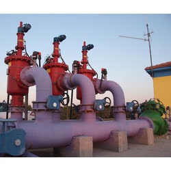 1655326399507 Amiad Web1