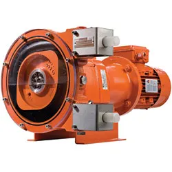 1655326400007 Wildenweb 1655326400007 Wildenweb