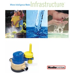 1655326434781 Mueller Web