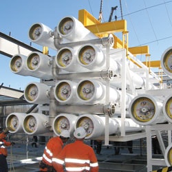 1655326444894 Koch Membrane1