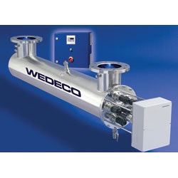 1655326470460 Untitled262