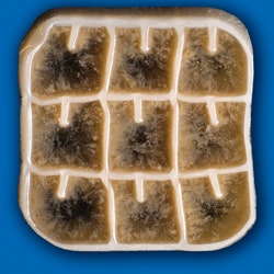 1655326472399 Biowaterweb