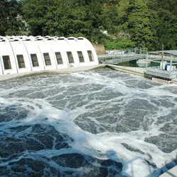 1655326484744 Siemens Wwtp Airliftreacto 1655326484744 Siemens Wwtp Airliftreacto