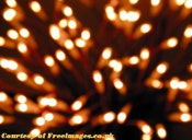 1655326547313 Whitelights2834