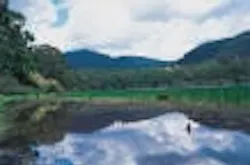 1655326560038 Images19 1655326560038 Images19