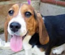 1655326563280 Images22 1655326563280 Images22