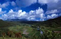 1655326566037 Images26 1655326566037 Images26