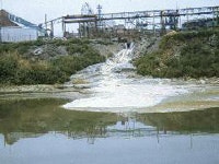 1655326608219 Pollutants