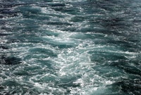 1655326640606 Ocean1