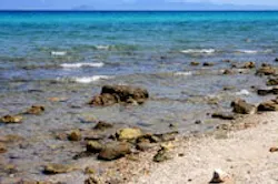 1655326651262 Coast 1655326651262 Coast