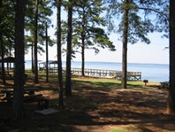 1655326668192 Lkmurray1