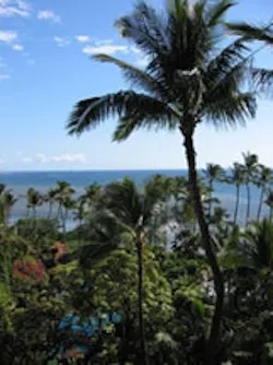 1655326672020 1050530 Img1 1655326672020 1050530 Img1