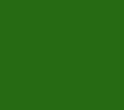 1655326672528 Green2