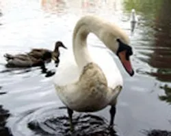 1655326681369 Wastewaterspill 1655326681369 Wastewaterspill