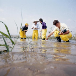 1655326715906 Waterresinstg