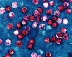 1655326728285 Crypto 1655326728285 Crypto