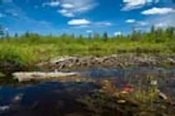 1655326731314 New York 1655326731314 New York