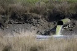 1655326741946 Discharge 1655326741946 Discharge