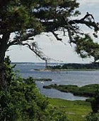 1655326782768 Plebay