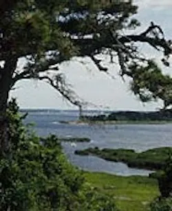 1655326782768 Plebay 1655326782768 Plebay