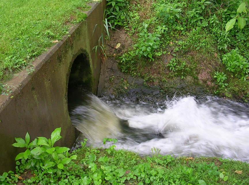 1655326931250 150851 1225