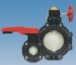 1655326935611 Asahi America 1655326935611 Asahi America