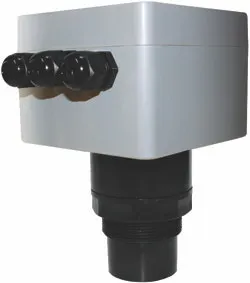 1655326935916 Echo Process 1655326935916 Echo Process