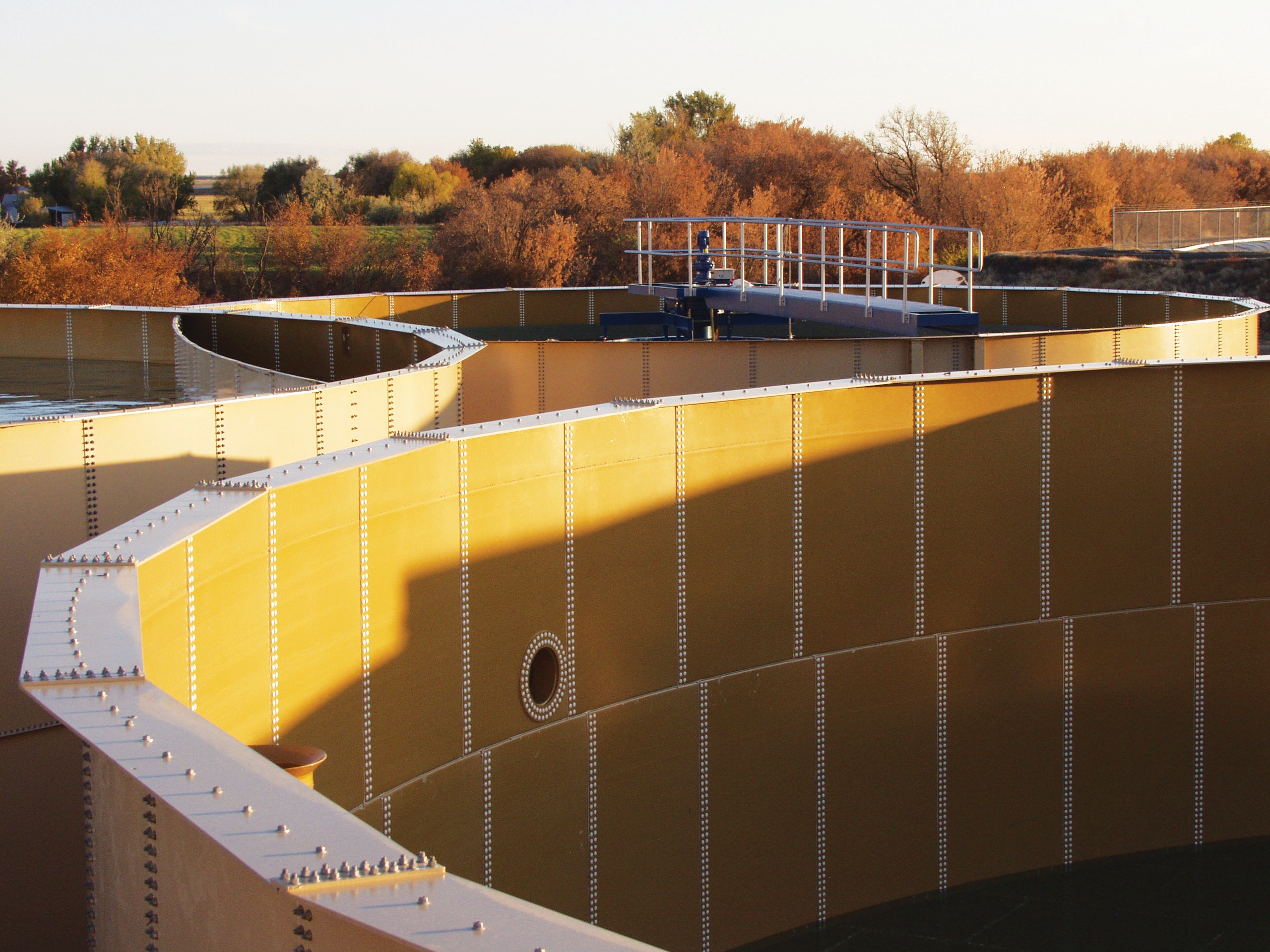 1655327019916 Golder 4