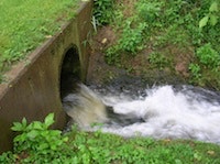 1655327058780 Dup 17