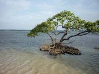 1655327063259 Dup 31