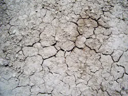 1655327163778 1186892 66387435 0 1655327163778 1186892 66387435 0