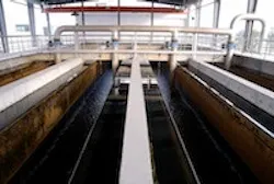 1655327201079 Fsc9968small 1655327201079 Fsc9968small