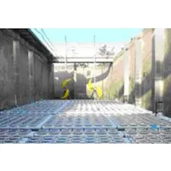 1655327351036 Untitled1 12 1655327351036 Untitled1 12