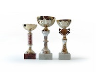 1655327352166 Award 6