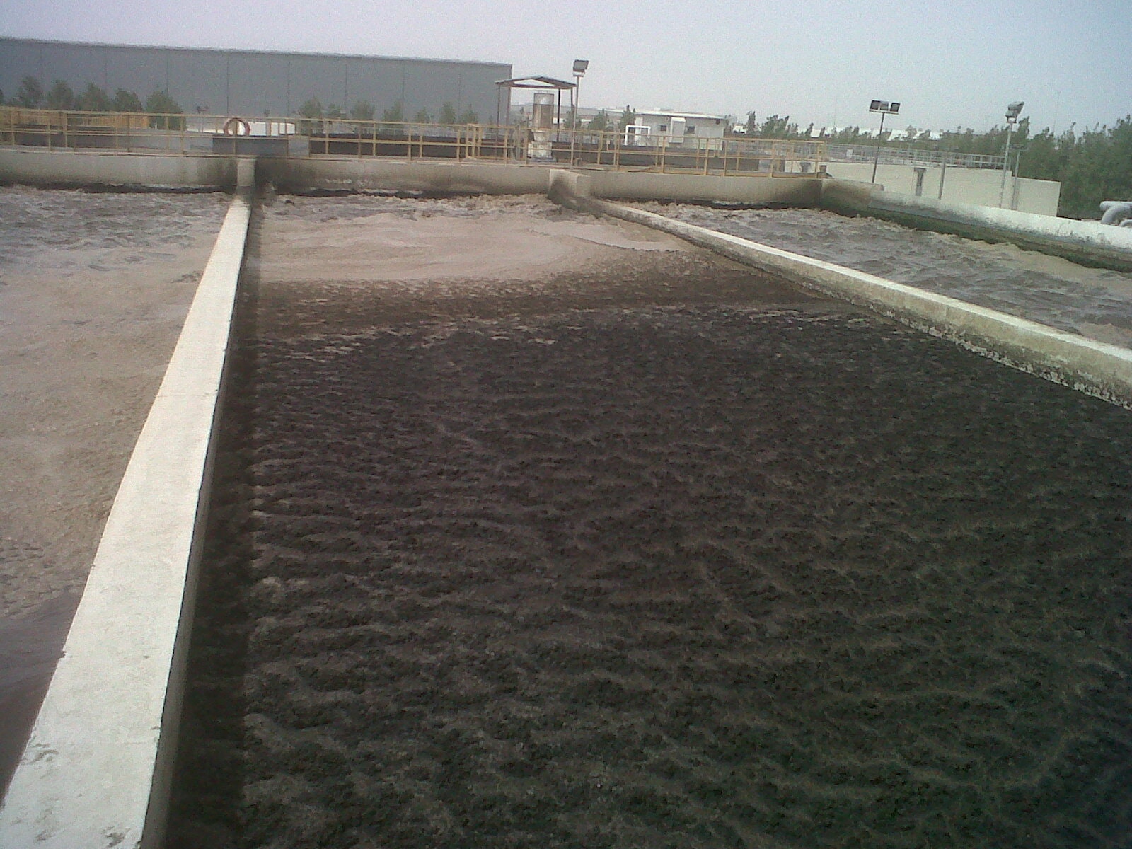 1655327357748 Before Installing Tritons