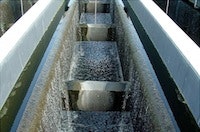 Arlington - SouthCross_0