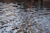 1655327385391 Water8 2