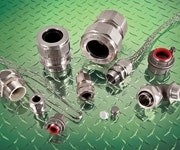 Remke-SSFamily-180x150-web copy