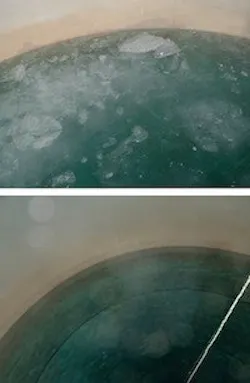 1655327421586 Primary Image Use This For Nl 1655327421586 Primary Image Use This For Nl