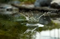 1655327444783 Water12 3 1655327444783 Water12 3