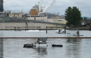 Medora CS St Helens OR