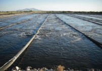 1655327474823 Edi Cs Grantsville Ut