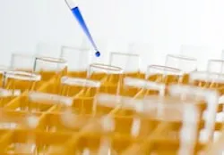 1655327481013 Chemical 5 1655327481013 Chemical 5