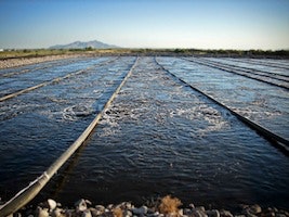 1655327481441 Edi Ps Atlas Dbbr