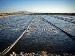 1655327481441 Edi Ps Atlas Dbbr 1655327481441 Edi Ps Atlas Dbbr