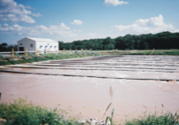 1655327534067 Edi Cs Westfield Wi