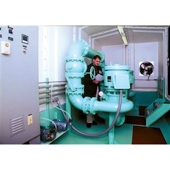 1655327553896 Smith Loveless Ps Capsular