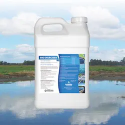 1655327580652 Ps Insideeditorialimage3 Ps No Logo 1655327580652 Ps Insideeditorialimage3 Ps No Logo