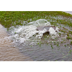 1655327586772 Telog Ps Ru33